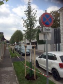 aa_Schulalle.jpg