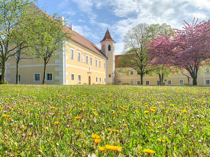 Schloss2.jpg