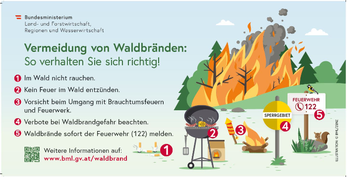 Waldbrand_Bild.JPG