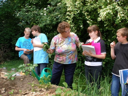 aa_hsgartenprofis01.jpg