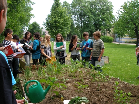 aa_hsgartenprofis02.jpg