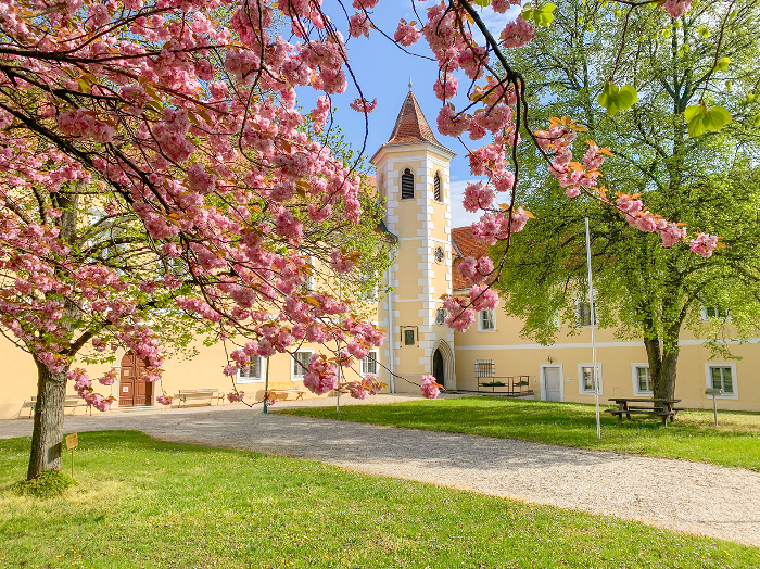 aa_museum_22_Schloss_1.jpg