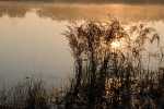 aa_naturparadies_badesee.jpg