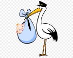 storch-baby1.jpg