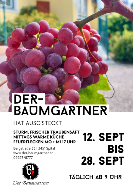 SEPT_Heuriger_Plakat.png
