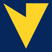 VHS_logo.png