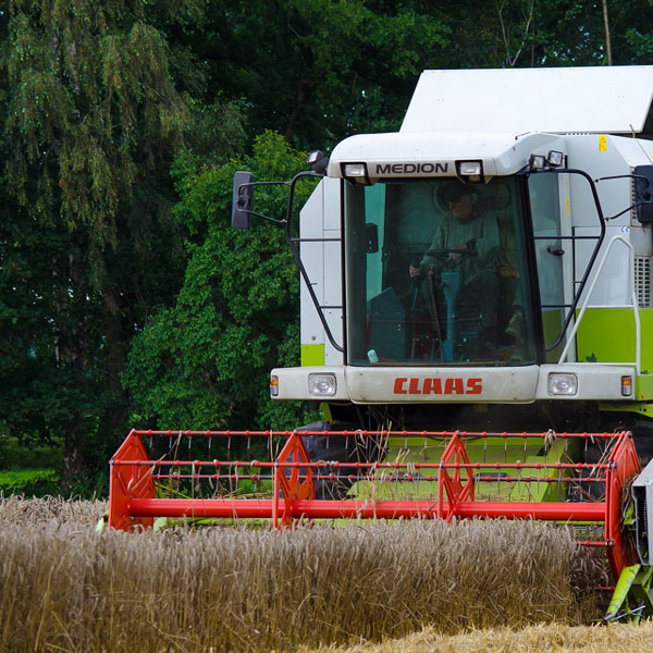 start_landwirtschaft.jpg