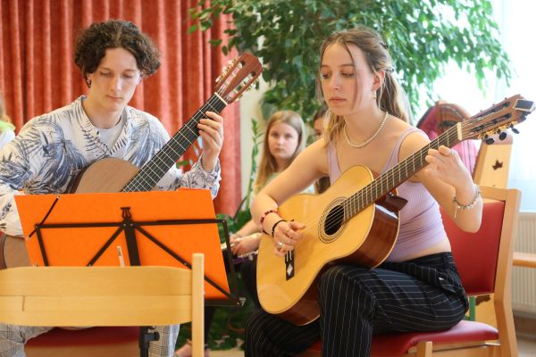 Rosenheim_24_Gitarren.jpg