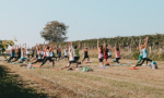 aa_Yoga_Weingarten.jpg