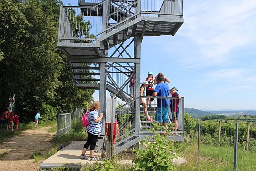 ferienspielweinbau3.jpg