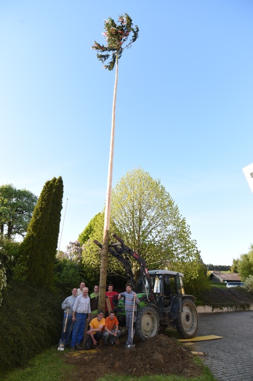 maibaum20161.jpg