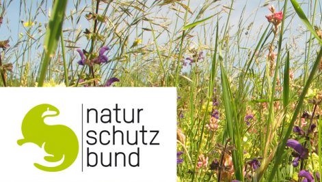 Naturschutzbund_(3).jpg