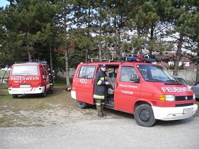 aa_insp09_steiner_01.jpg