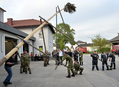 aa_maibaum_2013.jpg